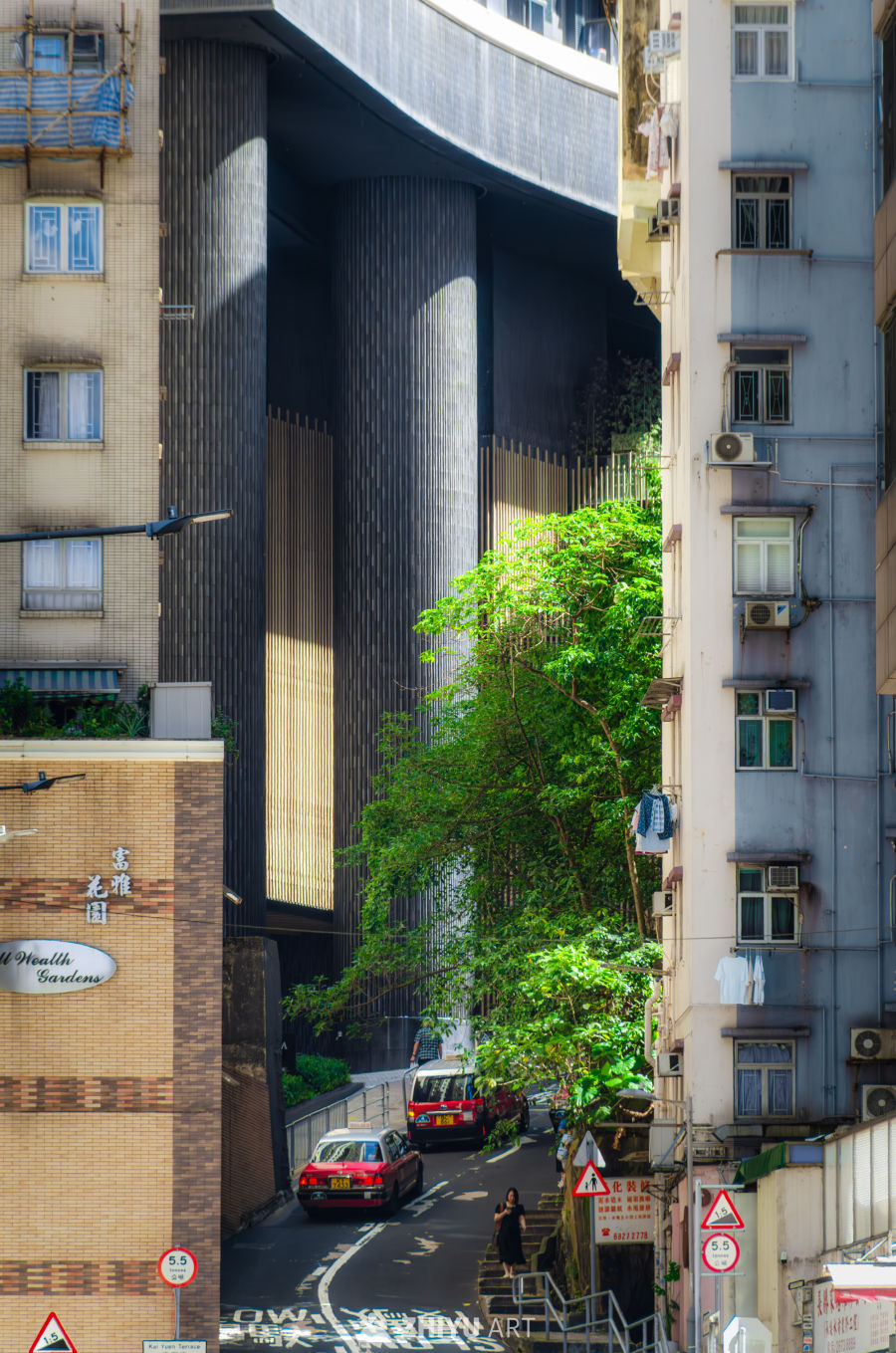 都市街景：光影与绿意