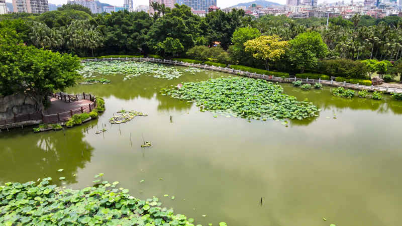 福建泉州城市风光航拍图 