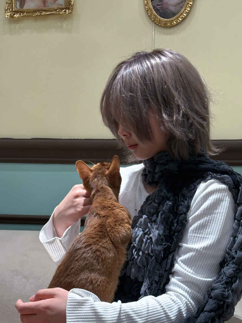 少女与猫