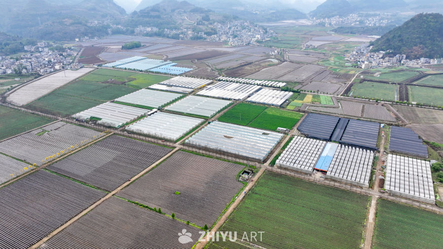  航拍农业大棚基地 农业产业乡村振兴 3