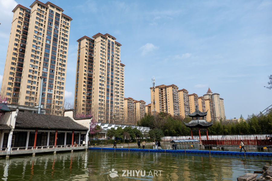 苏景园 38