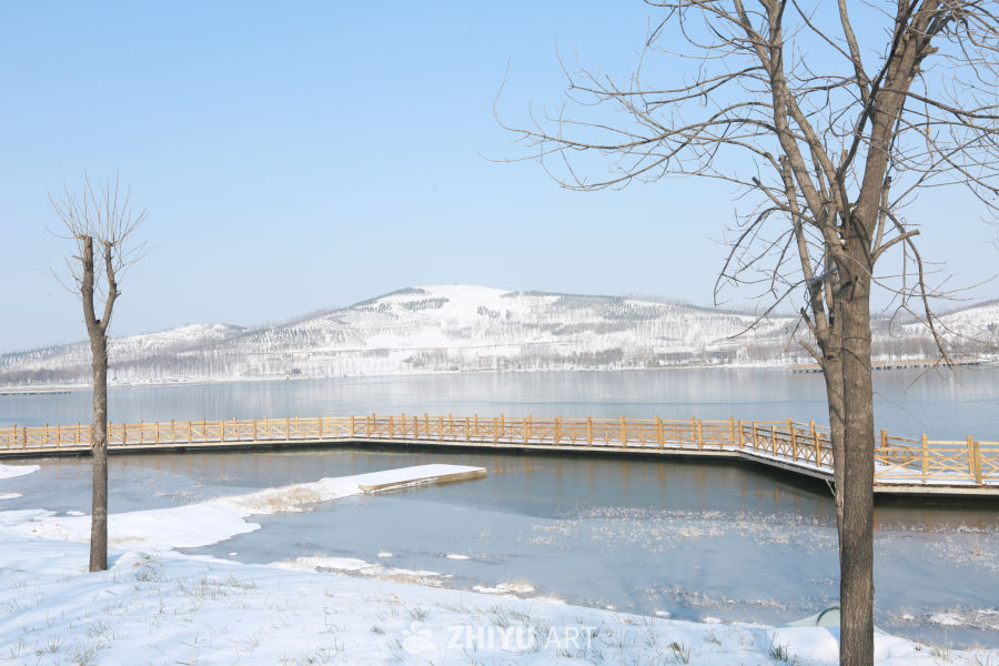 冬日湖畔静谧景