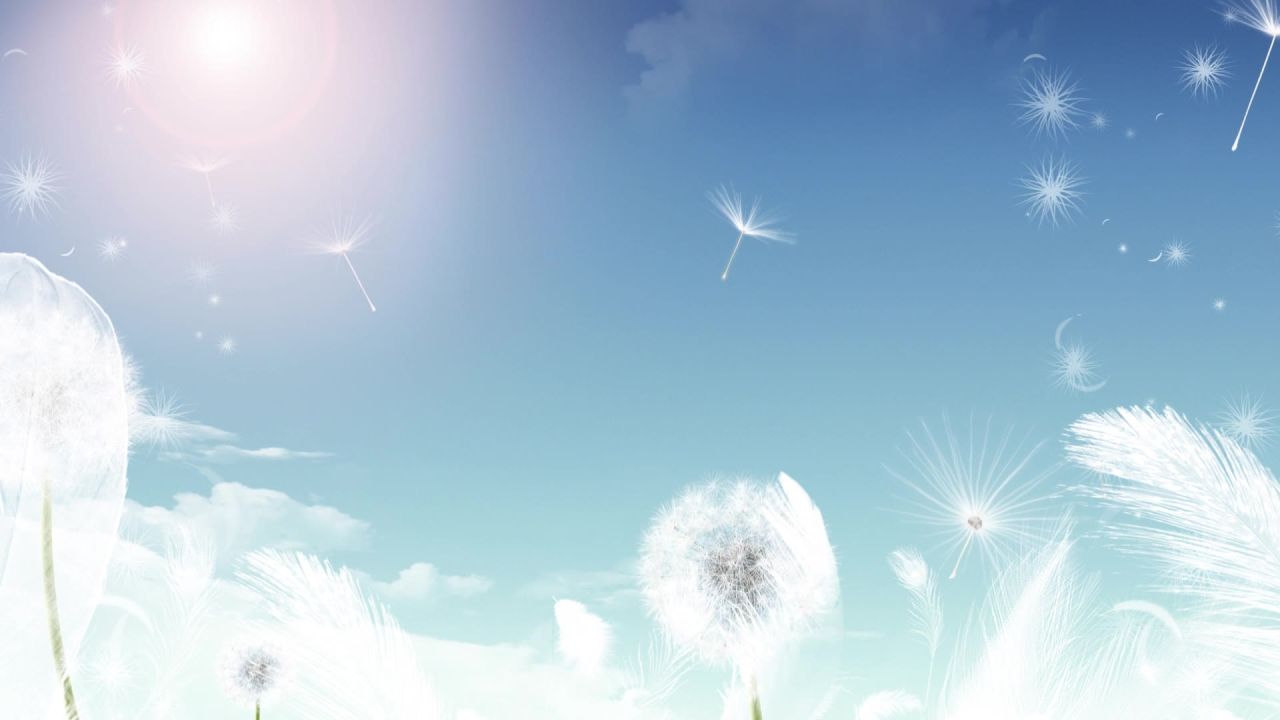 小清新蒲公英梦幻粒子led视频素材 14
