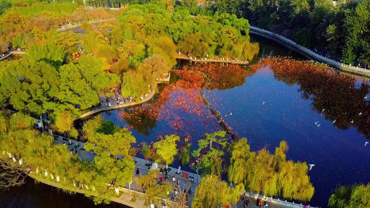 昆明翠湖公园-11