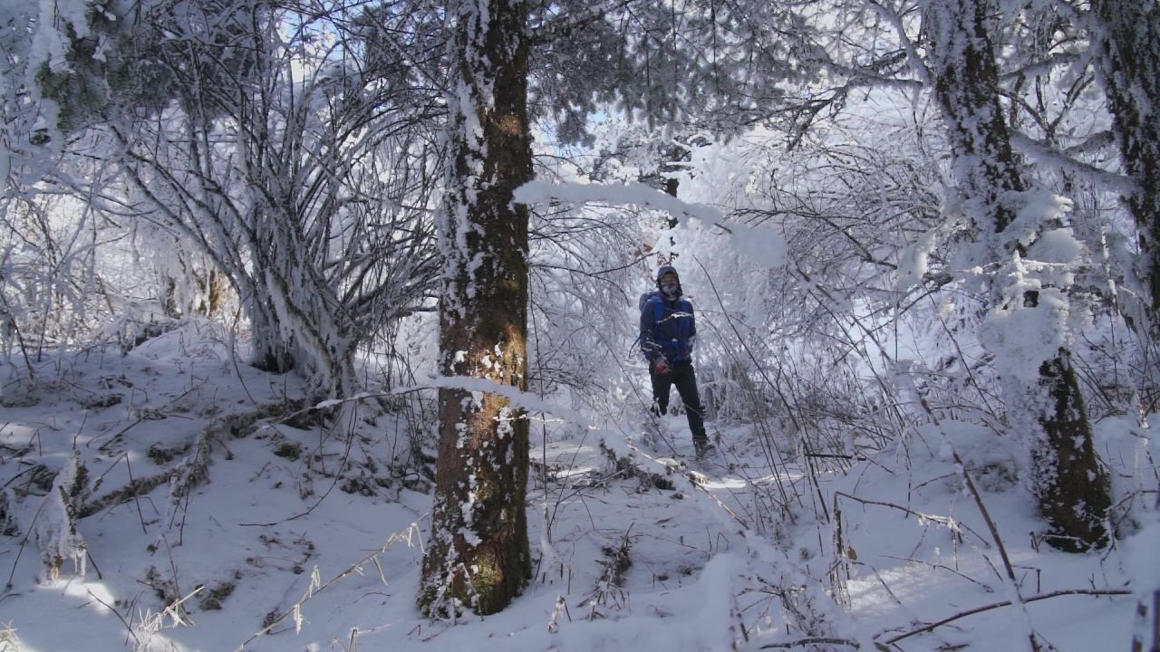 背包客从峨眉山大雪覆盖的树林中走出来