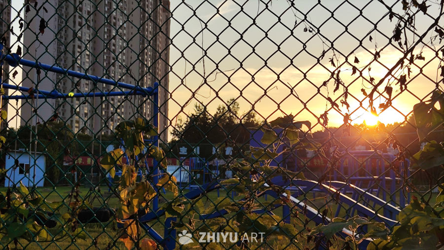 秋日夕阳的金黄