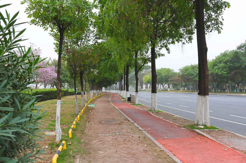 公园旁人行道绿道
