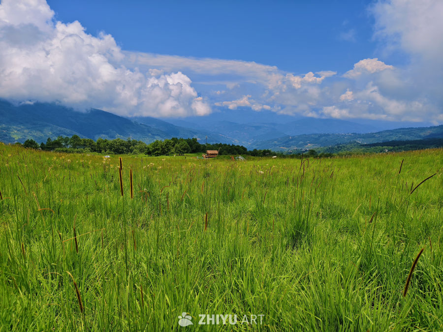 云在山尖，草漫山野