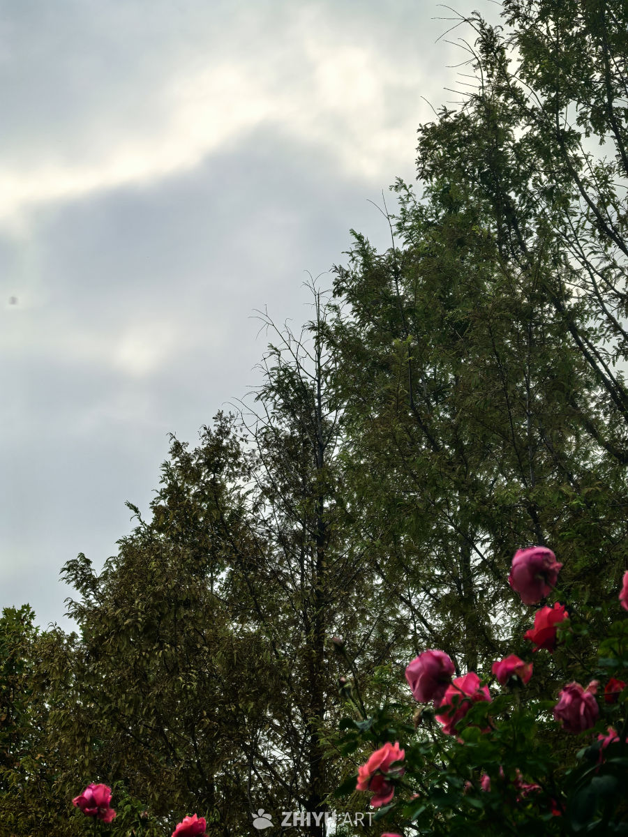水静万佛湖，风微湖岸幽