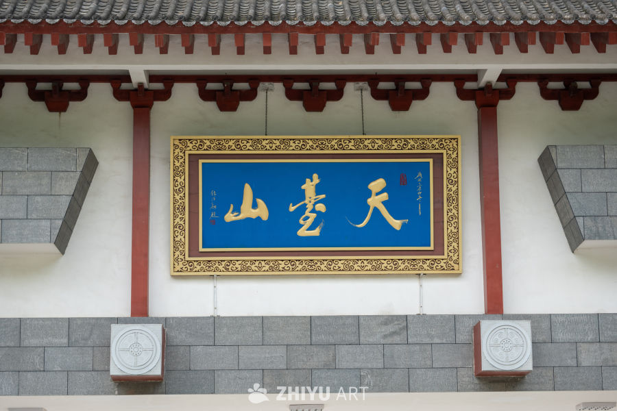 森林公园 23