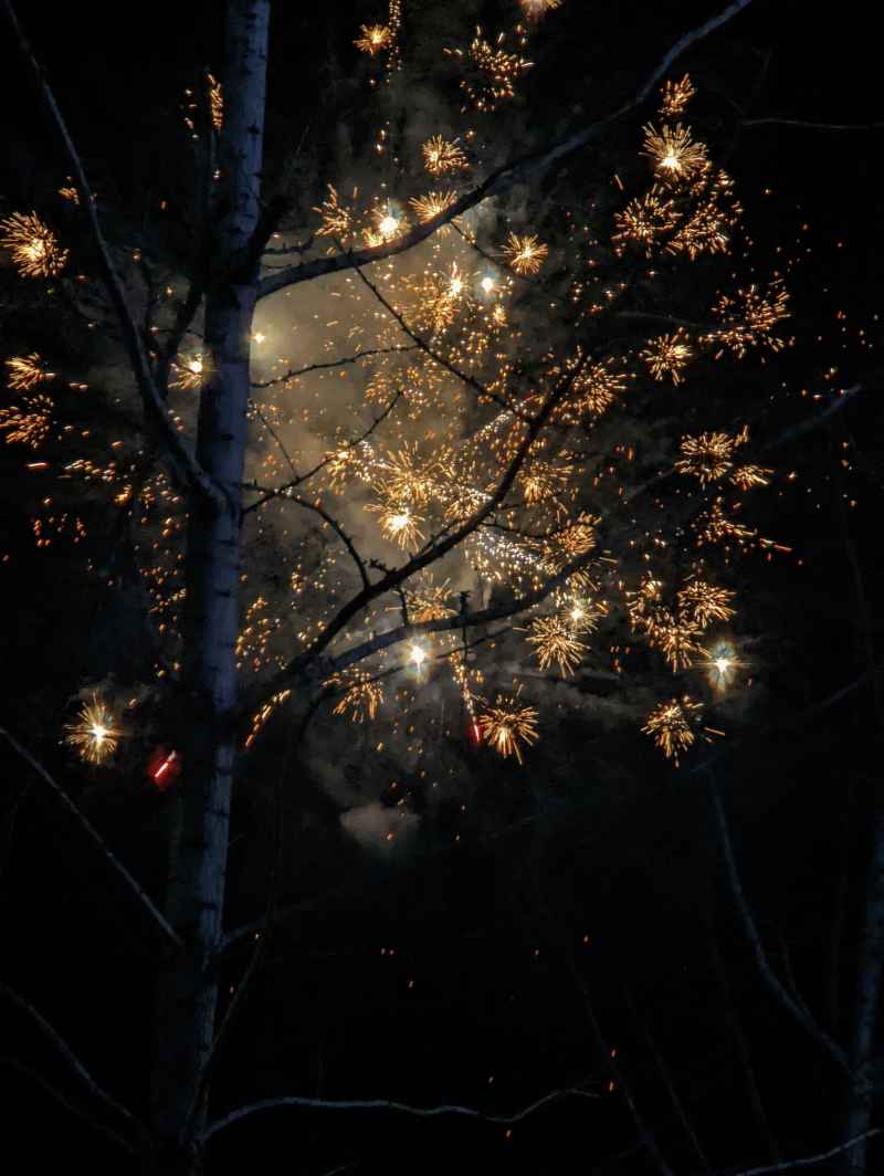 烟花 16