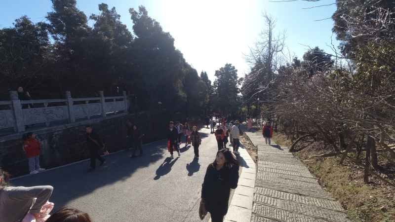 寺庙 4