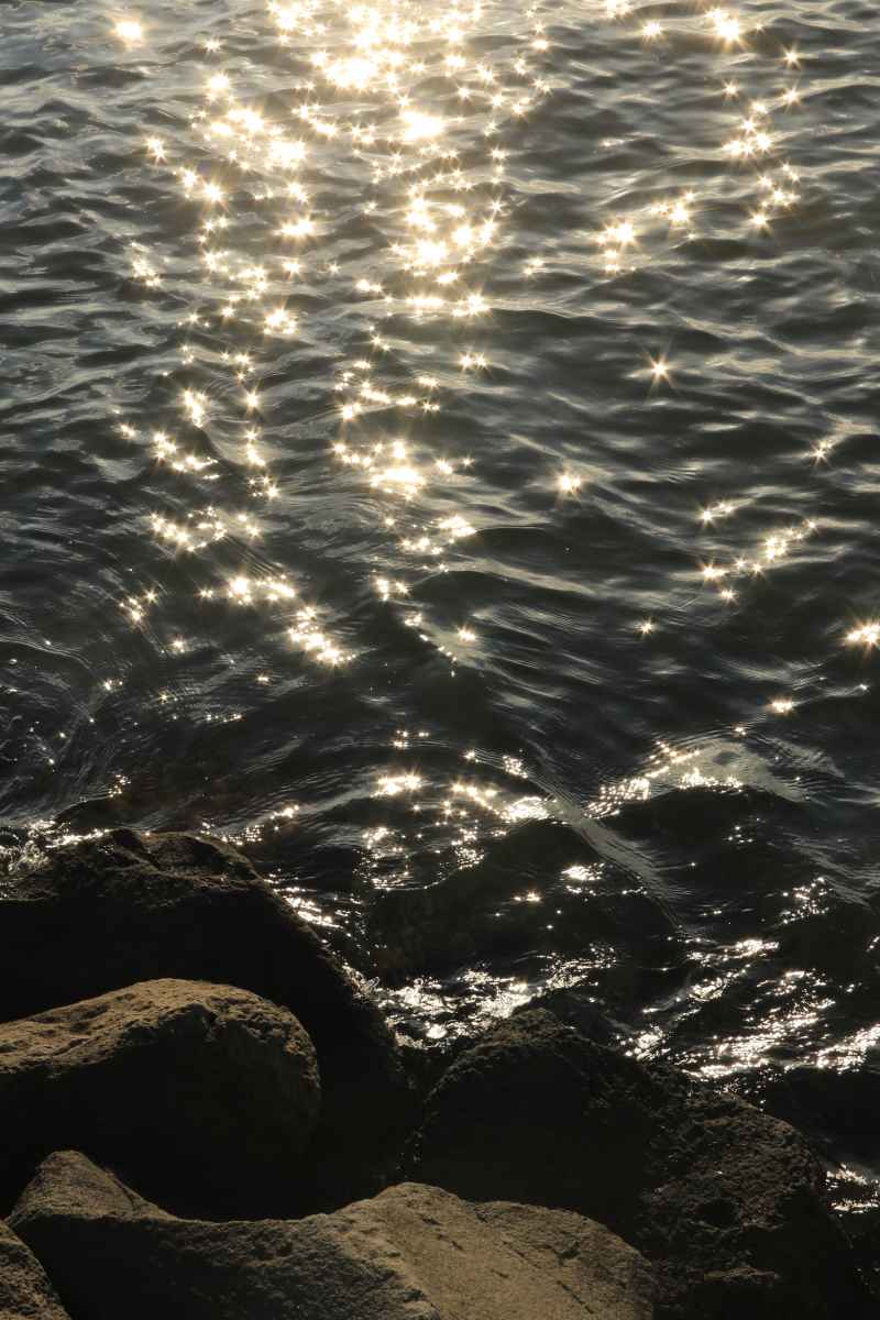 浮光跃金