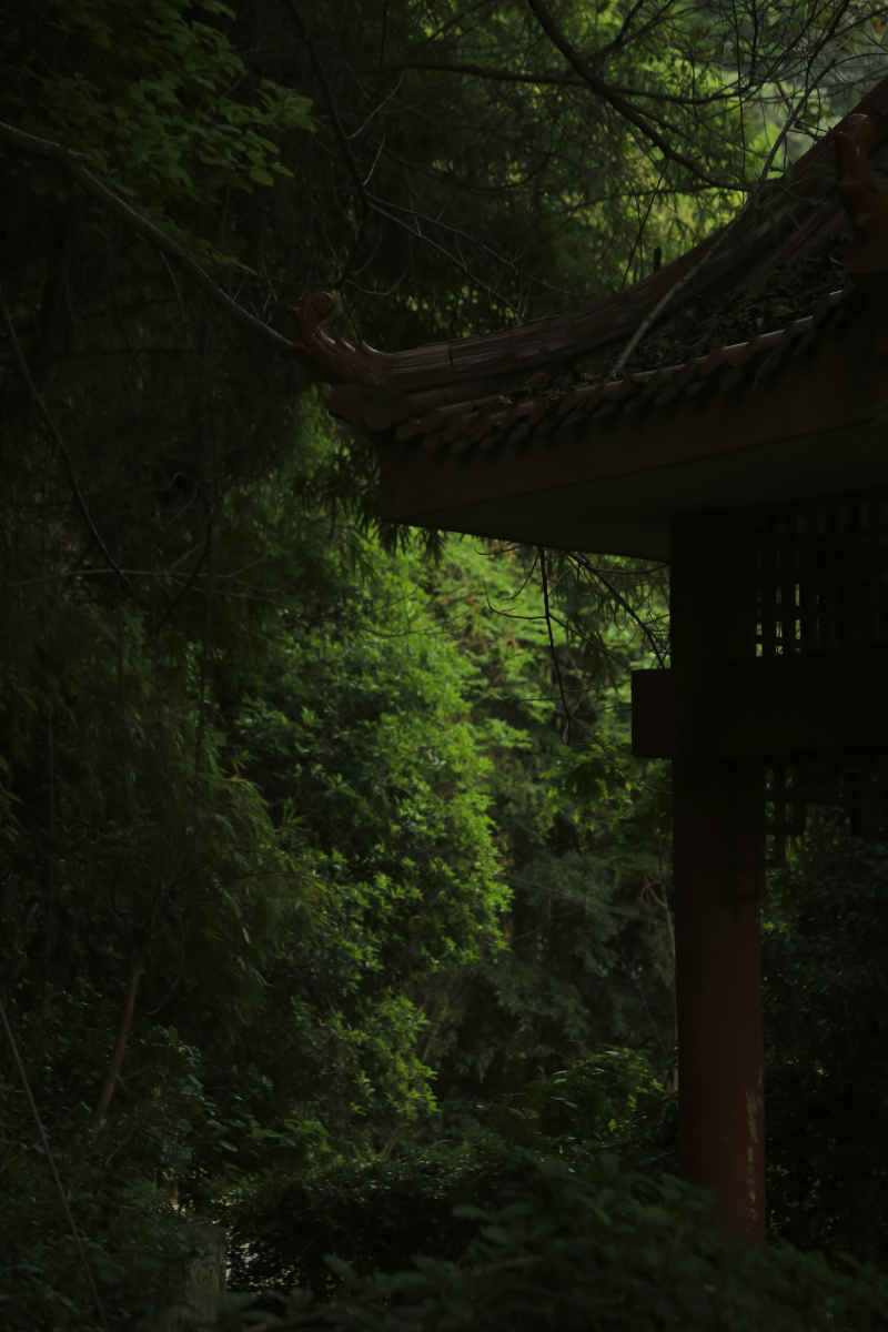 重庆所拍 9