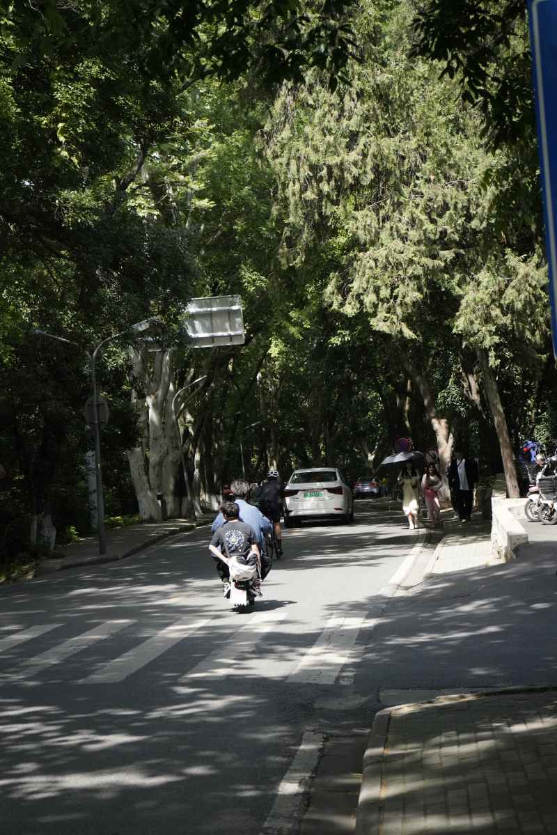 武汉大学