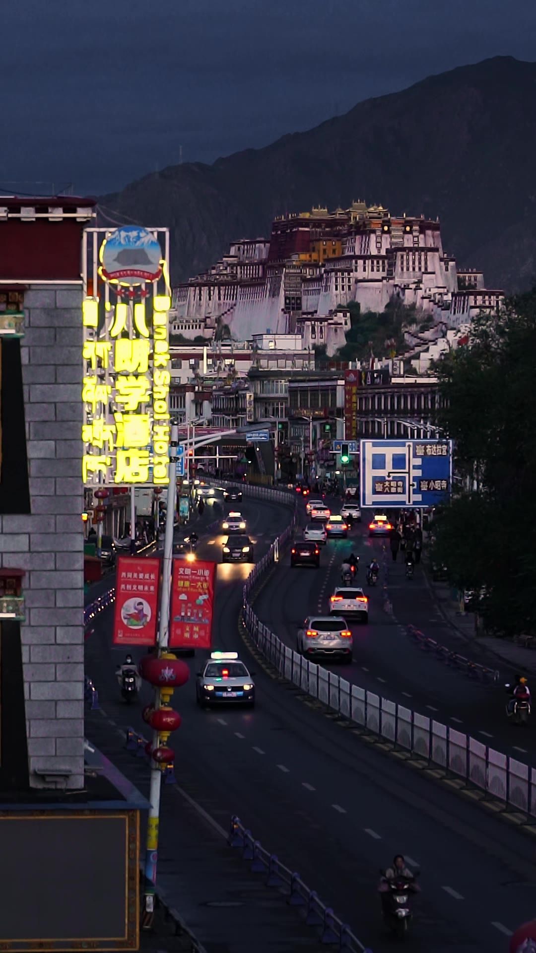 布达拉宫夜景和车水马龙的街道