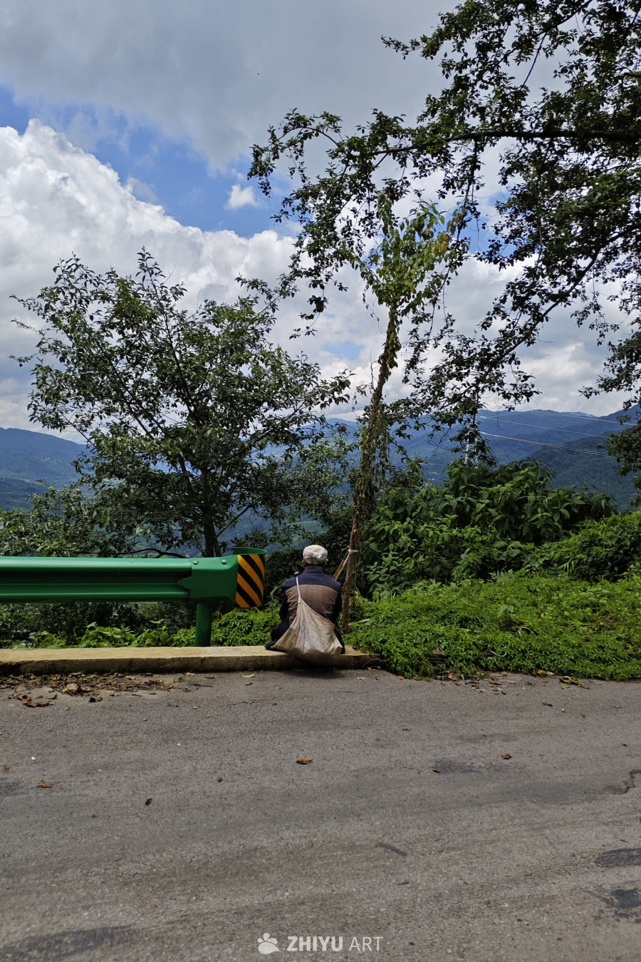 树荫下，老人与一阵风