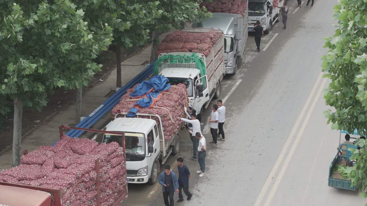 洋葱装载现场