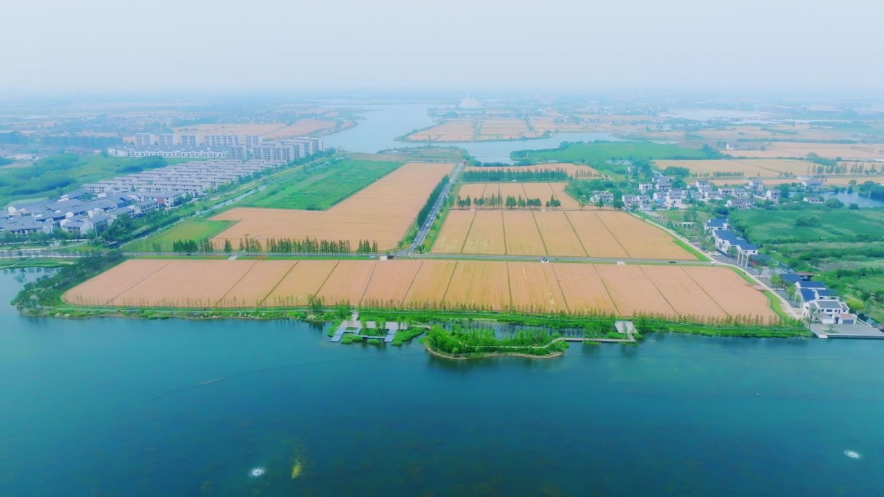 西塘祥符荡航拍碧水蓝天金色麦浪