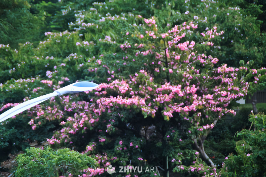 花丛中的路灯静景
