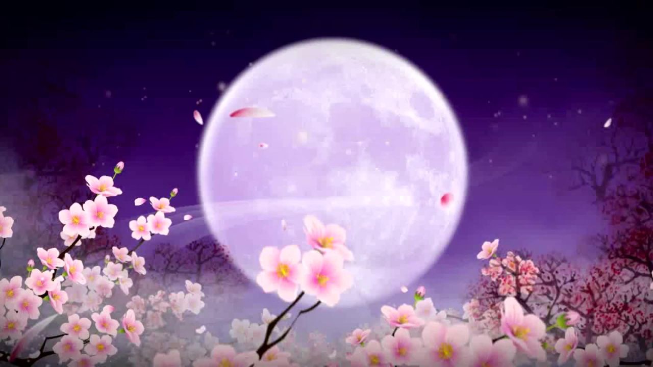 唯美月亮 70