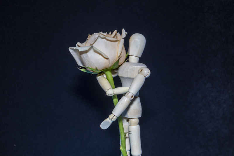 人偶抱花