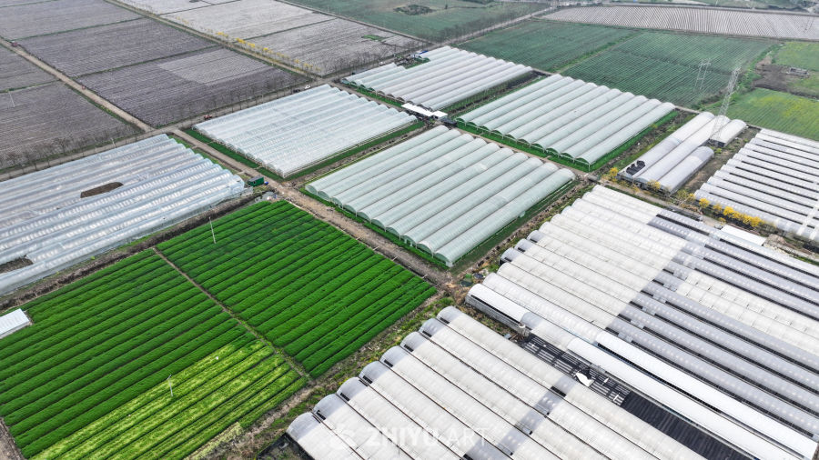  航拍农业大棚基地 农业产业乡村振兴 2