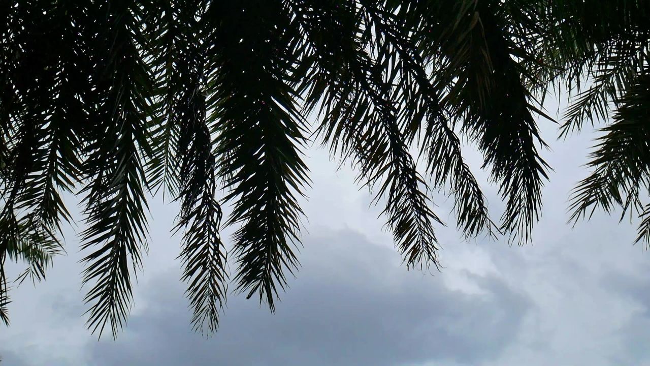 乌云欲雨