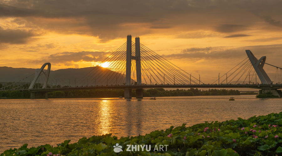 夕阳下的大桥 10