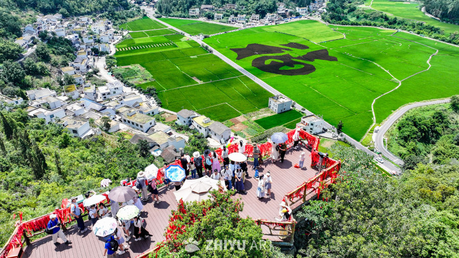 贵州兴义万峰林稻田 8