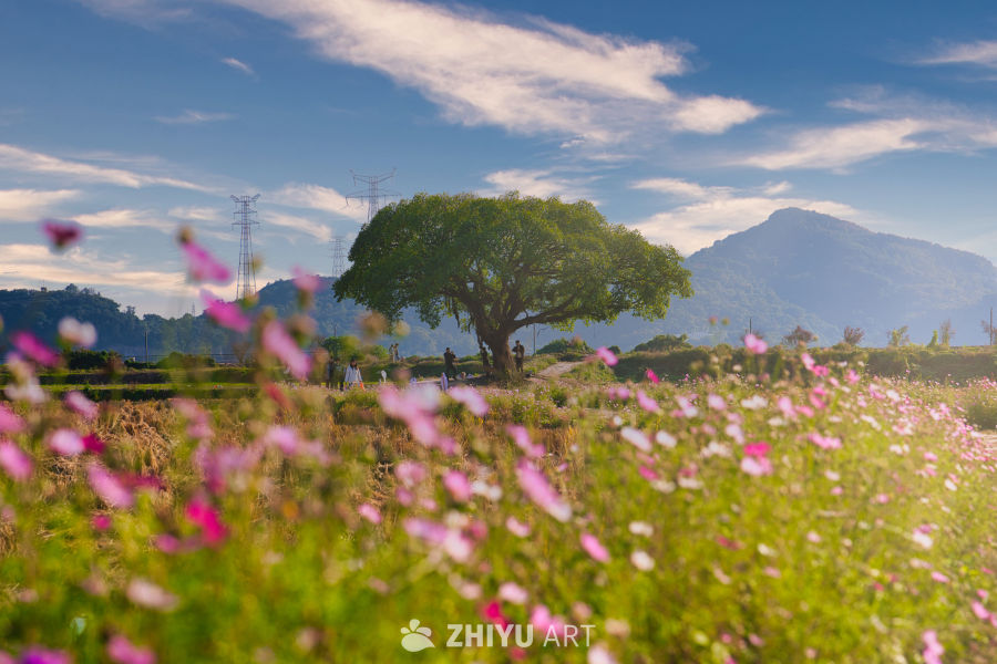 七都“陌上榕情”