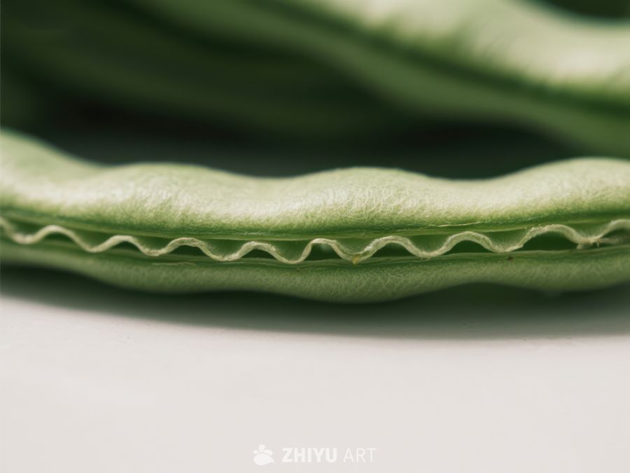 新鲜绿色豆荚的特写 534