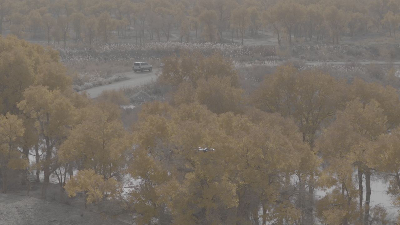 秋日林间雾霭行旅