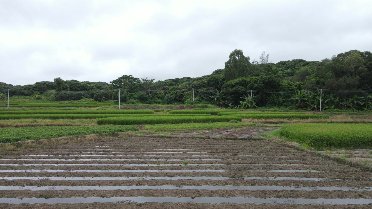 农业农田航拍 1