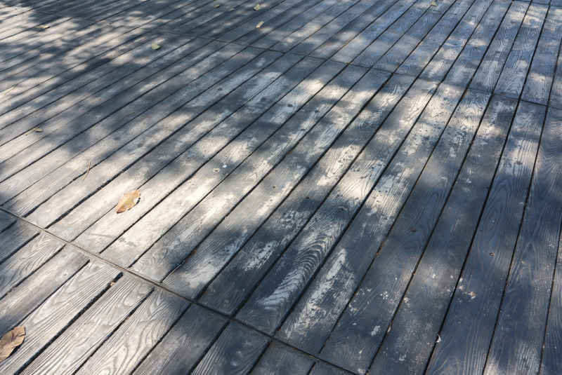 阳光树影木栈道