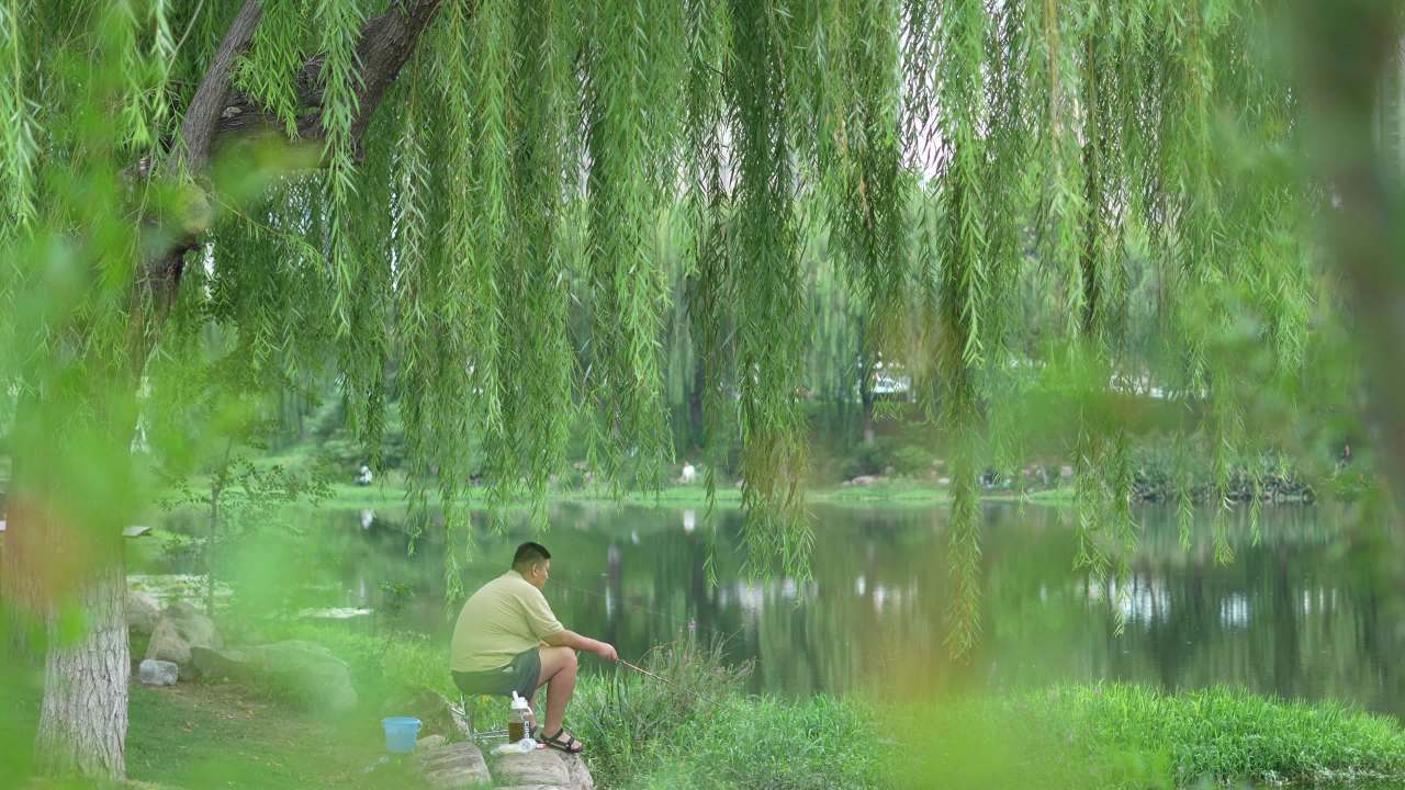 【实拍样片】索尼A6700-4K相机实拍原片视频 7