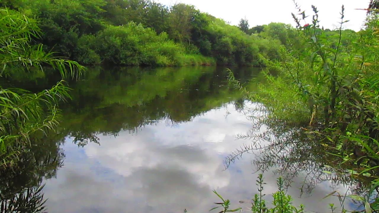 河平静仍宁静