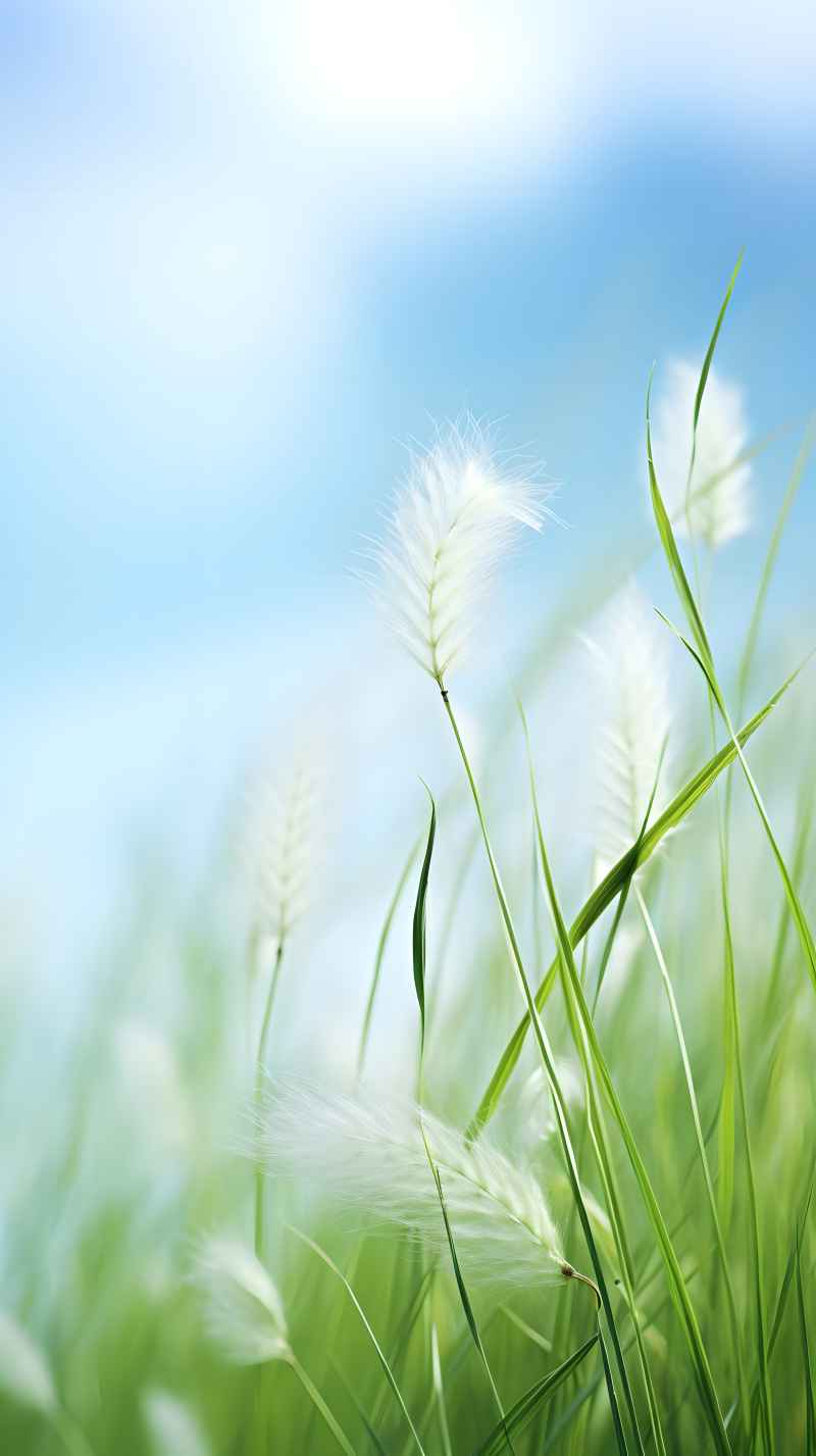 绿色唯美自然小草背景图 3