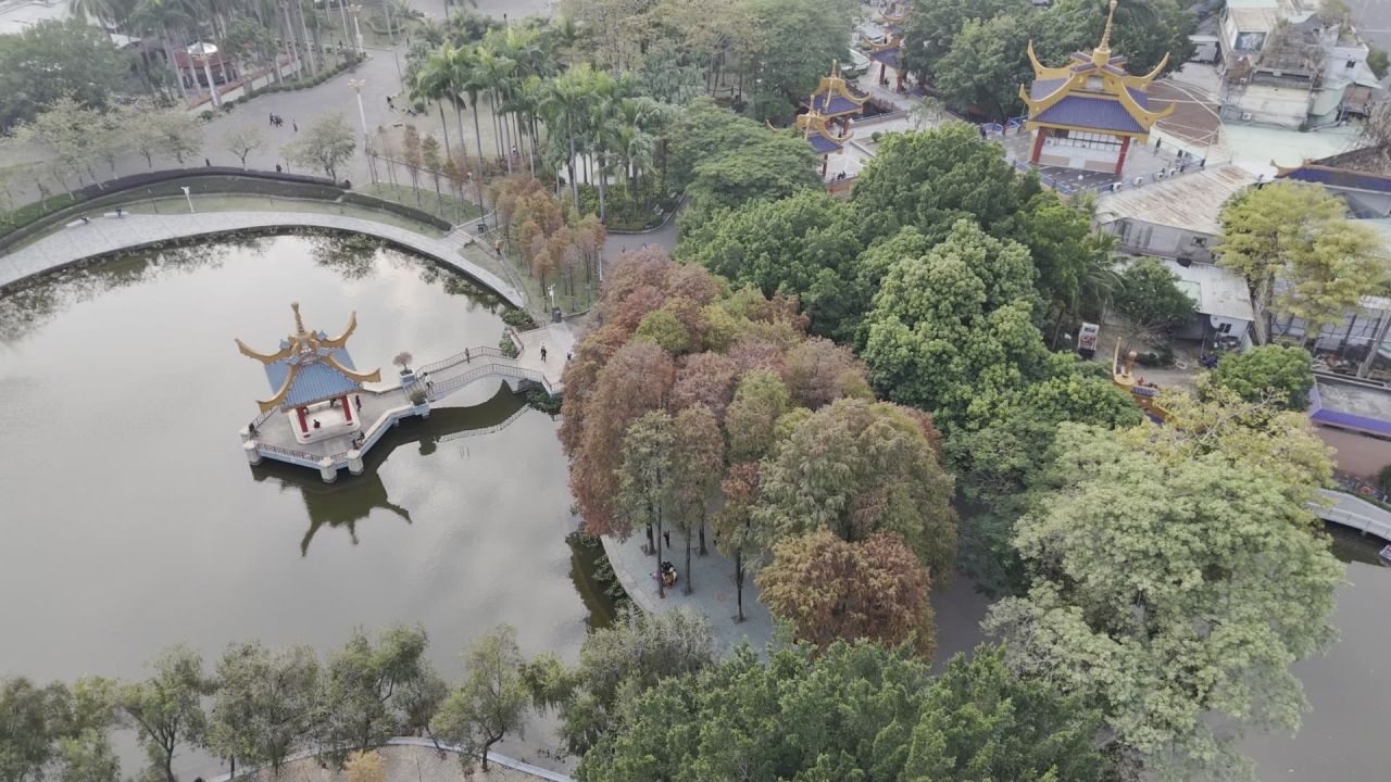 金砂公园景色