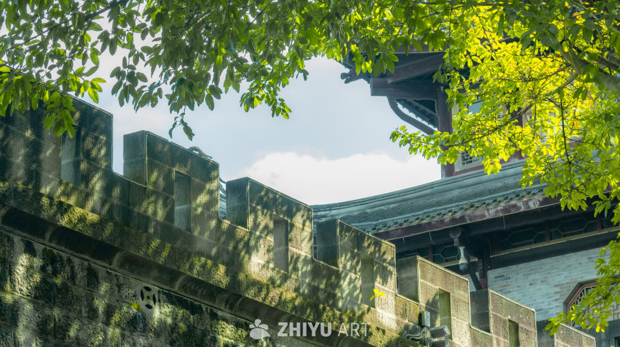 古墙绿叶映阳光