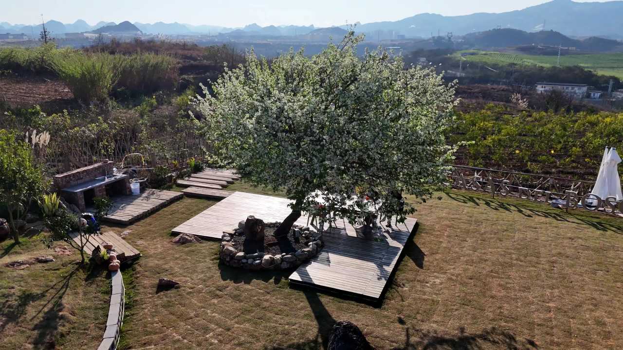 乡村花园的宁静时光