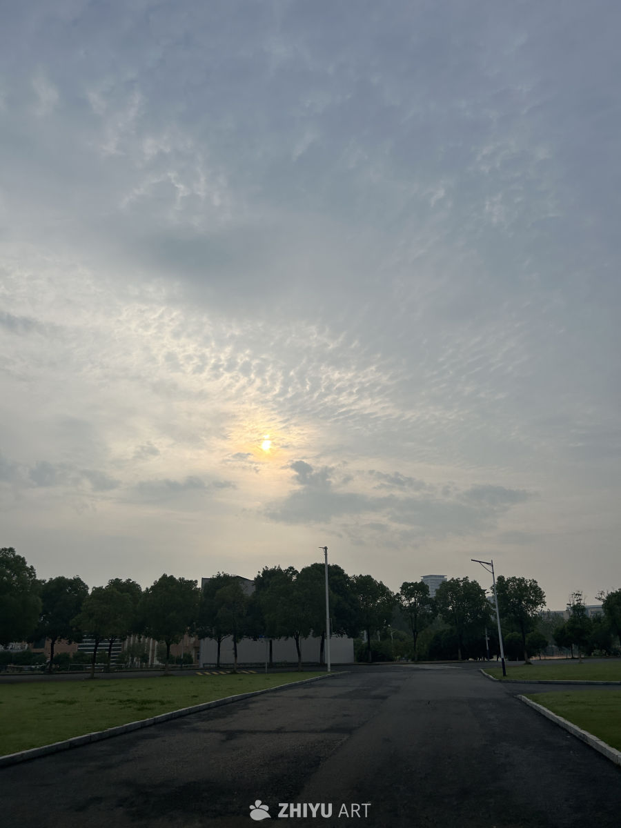 晨曦中的城市公园