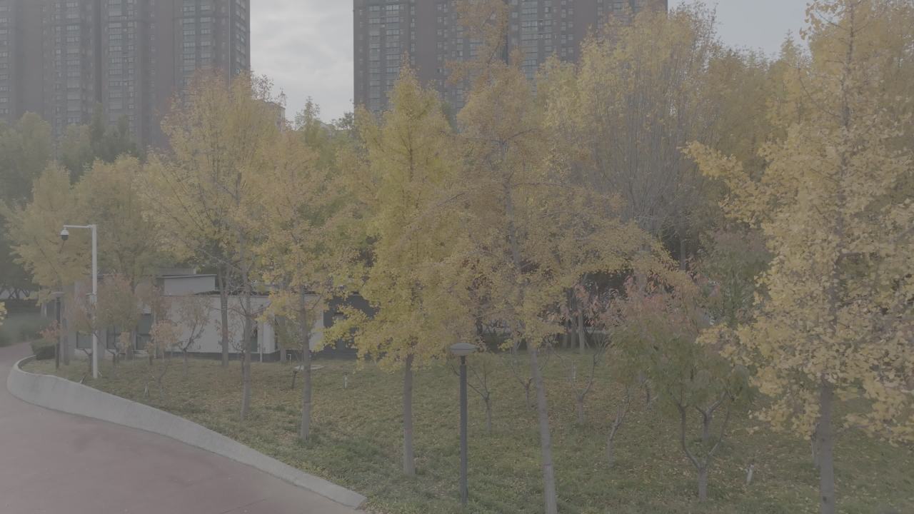 秋日城市公园