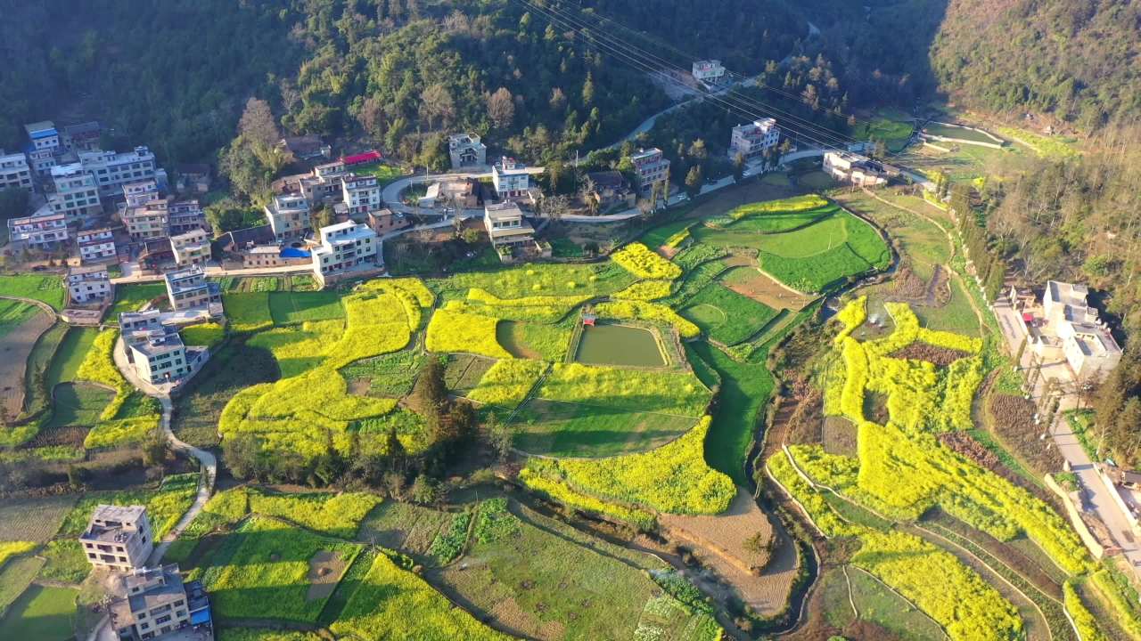 晨光中的田园风光