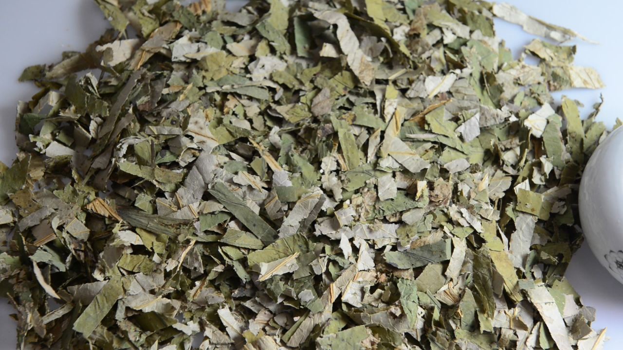 荷叶中药材 1