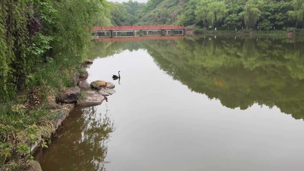 湖面
