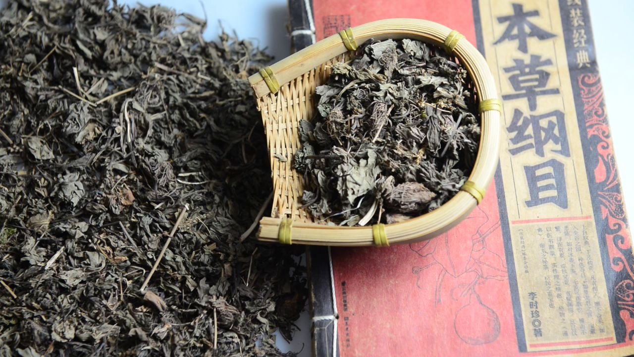 中药材车前草 8