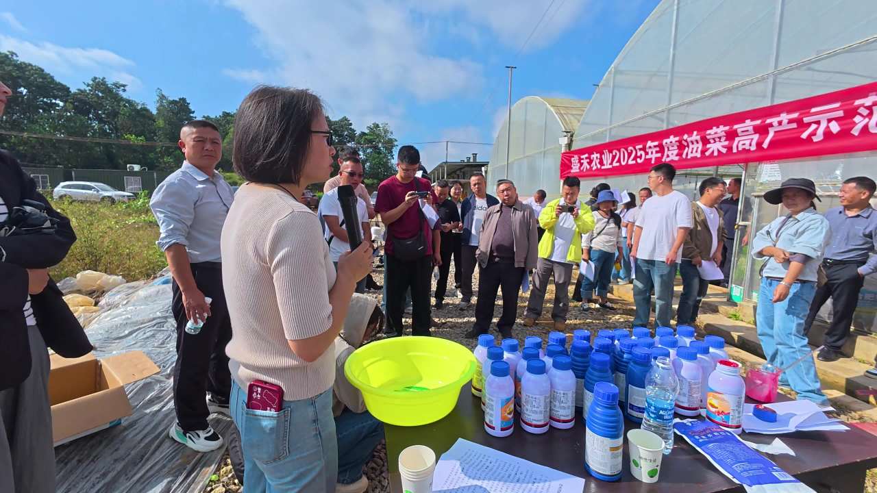 4k田间技能培训 农业种植技能培训