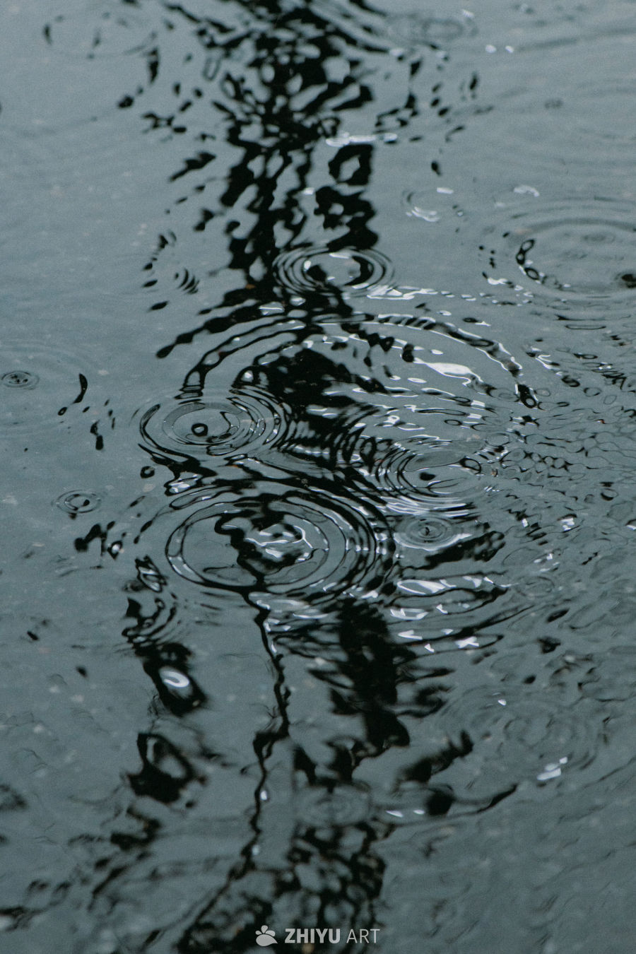雨后静谧的水面