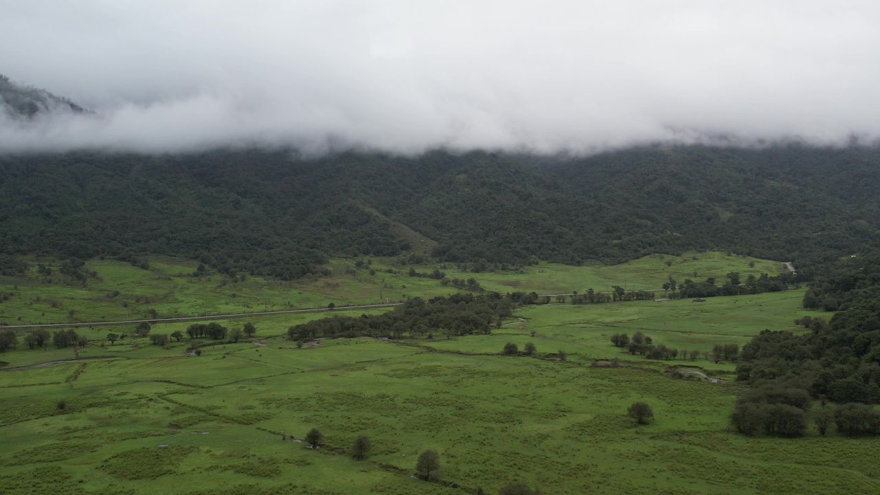 高山草场畜牧航拍